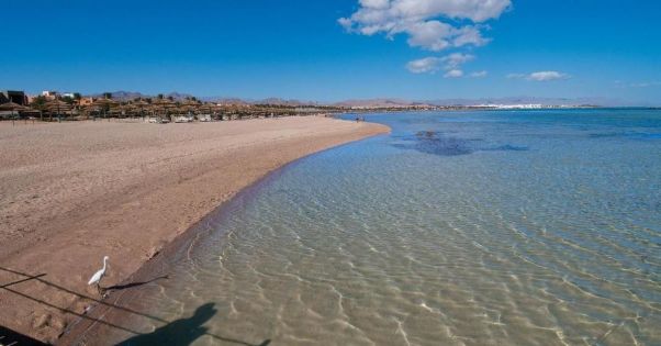 AMWAJ OYOUN RESORT AND CASINO