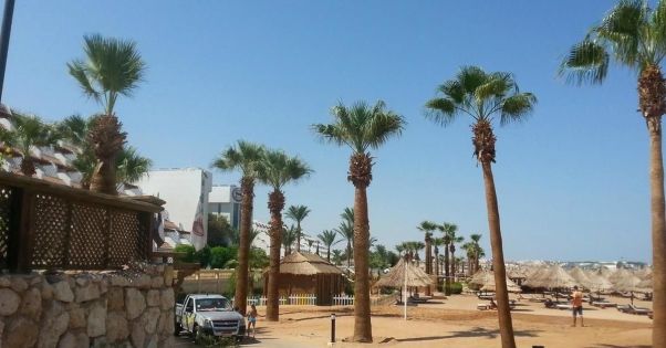 SHERATON SHARM HOTEL  RESORT  VILLAS & SPA