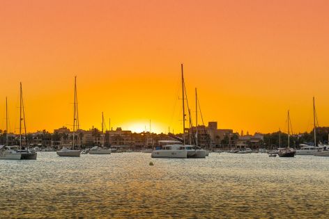 Палма де Майорка - в ритъма на Магалуф