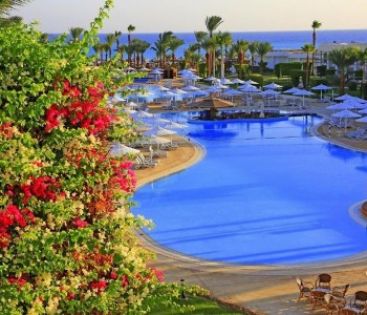 JAZ ROYAL PALMARIVA ( EX : LABRANDA ROYAL MAKADI )